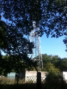 Christmas Common Mast1