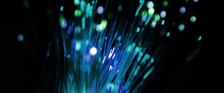 fibre